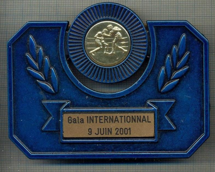 ATAM2001 MEDALIE 470 - PLACHETA -SPORTIVA - BOX - GALA INTERNATIONNAL - 9 JUIN 2001 -INTERESANTA DE EXPUS PE BIROU-starea care se vede