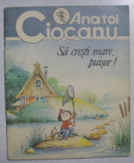 Anatol Ciocanu - Sa Cresti Mare Puisor! ( poezii pentru copii cu ilustratii ) foto