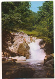 #carte postala(ilustrata)-COVASNA-Cascada din Valea Zanelor, Necirculata, Printata