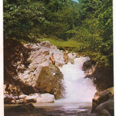 #carte postala(ilustrata)-COVASNA-Cascada din Valea Zanelor