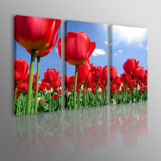 S21 TABLOU DESIGN MODERN DIGITAL PRINT 3 PIESE PE RAMA DE LEMN 120X80 CM CANVAS LALELE foto