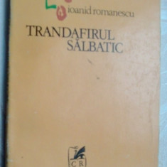 IOANID ROMANESCU - TRANDAFIRUL SALBATIC (VERSURI, editia princeps - 1978) [coperta VASILE OLAC]
