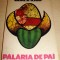 PALARIA DE PAI - Vasile Iosif