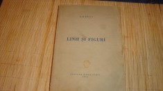 D.D.Rosca - Linii si figuri - 1943 foto