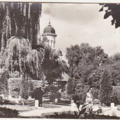 BNK cp Radauti - Vedere din parc - uzata