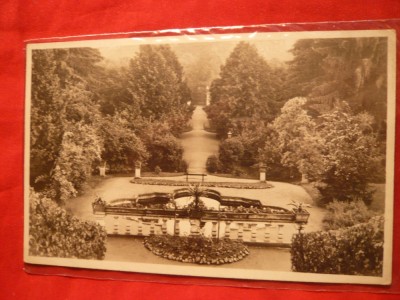 Ilustrata Park Sanatorium Brukenthal Freck-Avrig foto