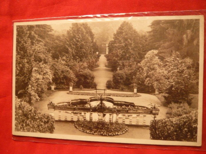 Ilustrata Park Sanatorium Brukenthal Freck-Avrig