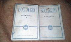 DECAMERONUL /VIATA LUI DANTE DE GIOVANNI BOCCACCIO foto