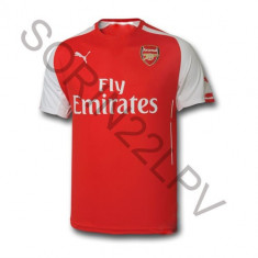 Tricou Puma Arsenal Acasa Sezon 2014/2015(17 ALEXIS) foto