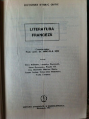 Coord. Prof. univ. dr. Angela Ion - Dictionar istoric critic ? Literatura franceza foto