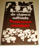 APITERAPIA AZI - Apicultura