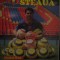 Revista Suporter Steaua (nr.8 / 2005)