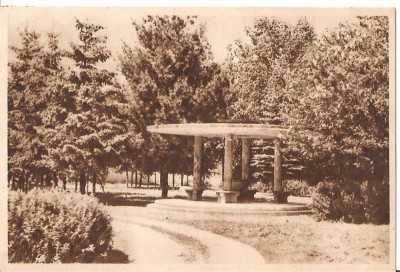 CPI (B4423) COVASNA. VEDERE DIN PARC, CIRCULATA foto
