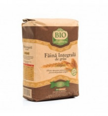 Faina integrala de grau 1kg BIO All Green foto