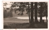 CPI (B4452) LACUL SFANTA ANA, NECIRCULATA, FOTO ORIG. &quot;FOTOFILM&quot; CLUJ, 1934