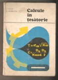 Calcule in tesatorie- L. Calin, Alta editura