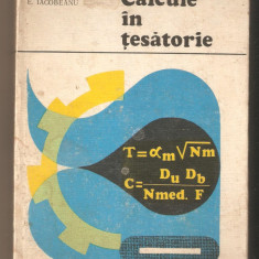 Calcule in tesatorie- L. Calin