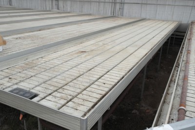 Mese De Cultura Sera Arhiva Okazii Ro