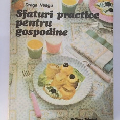 Draga Neagu - Sfaturi practice pentru gospodine