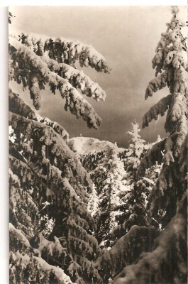 CPI (B4466) MASIVUL POSTAVARUL. PEISAJ DE IARNA, CIRCULATA, STAMPILE, TIMBRU, REPUBLICA POPULARA ROMANA foto