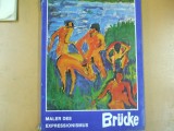 Album pictura expresionista Brucke Maler der Expressionismus Germania 1975