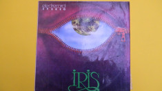 IRIS an ap.1977 Disc vinil foto