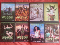 Weeds ( Ierburi ) serial complet, 8 sezoane pe 22 DVD-uri, subtitrate in romana foto