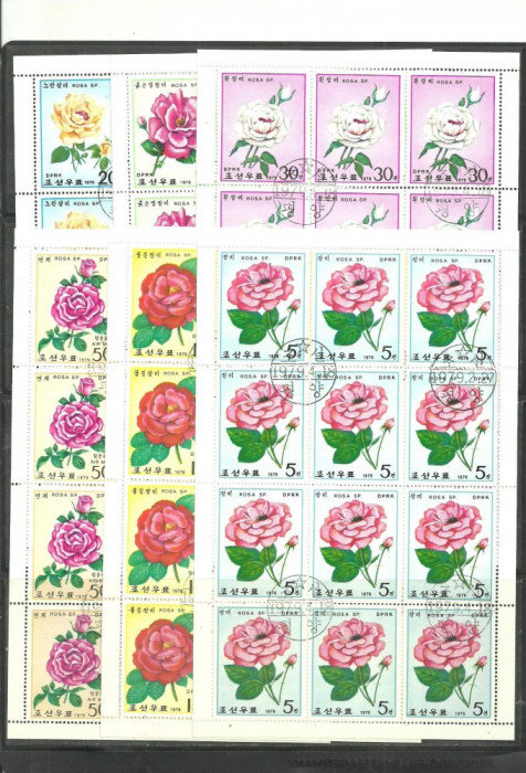 KOREA 1979 - TRANDAFIRI, serie completa in 6 KLEINBOGEN-uri stampilate G621