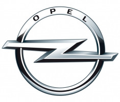 Diagnosticare Coduri de eroare Stergere/Citire pentru OPEL foto