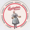 Suport de pahar / Biscuite BUDWEISER