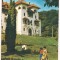 #carte postala(ilustrata)-GOVORA -vedere
