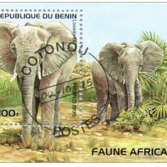 Benin 1995 fauna africana, elefanti ,colita perforata stampilata