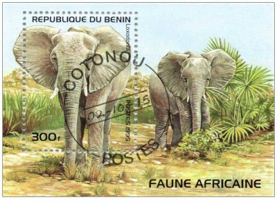 Benin 1995 fauna africana, elefanti ,colita perforata stampilata foto