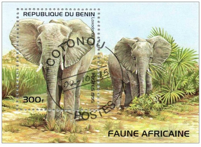 Benin 1995 fauna africana, elefanti ,colita perforata stampilata
