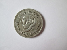 AUSTRALIA 1 SHILLING1960 ARGINT foto