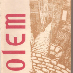 (C5472) GOLEM DE GUSTAV MEYRINK, EDITURA CARTEA ROMANEASCA, 1989, TRADUCERE DE GINA ARGINTESCU-AMZA
