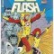 DC Flash: La nuit du boucher
