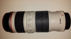 Canon EF 70-200mm f/4L IS USM + Canon extender 1.4x (optional) foto