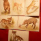 Set 6 Ilustrate -Pui de Animale - Art Design