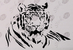 Tiger_Tatuaj De Perete_Sticker Decorativ_WALL-055-Dimensiune: 35 cm. X 23.8 cm. - Orice culoare, Orice dimensiune foto