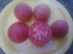 SEMINTE TOMATE PEACH PINK foto