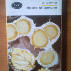 e1 FLOARE SI GENUNE - P . CERNA