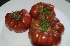 SEMINTE TOMATE PURPLE CALABASH foto