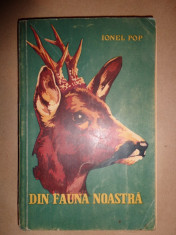 Din fauna noastra - Ionel Pop foto