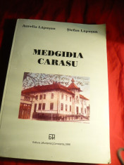 A.siS.Lapusan - Monografie- Medgidia - Carasu - Prima Ed. 1996 foto