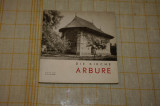 Die Kirche Arbure - Editura Meridiane - 1967