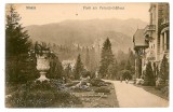 1777 - SINAIA, Prahova, Peles Castle - old postcard - unused, Necirculata, Printata