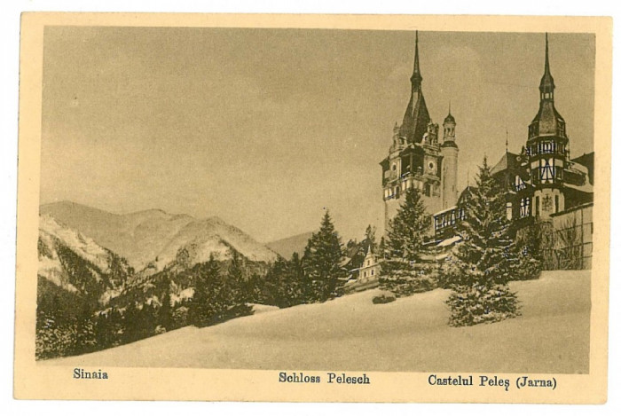 1850 - SINAIA, Prahova, Castelul PELES ( winter ) - old postcard - unused
