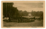 781 - BUCURESTI, Cismigiu Park - old postcard - unused, Necirculata, Printata