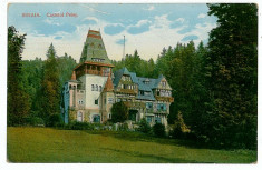 416 - SINAIA, Castle PELES - old postcard - unused foto